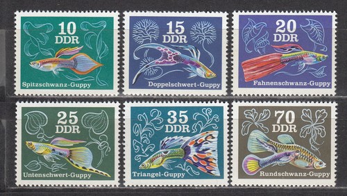 East germany gdr ddr 1976 - gdr,