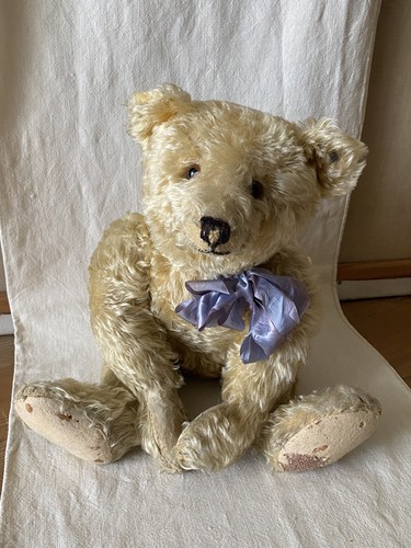 Antique steiff teddy bear - teddy,