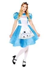Alice in Wonderland Costume