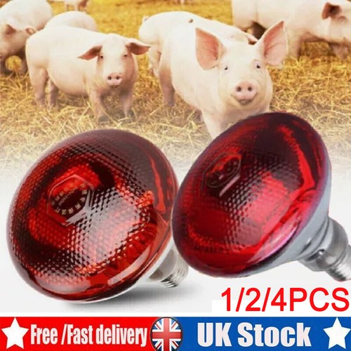Infra red heat - heat, lamp