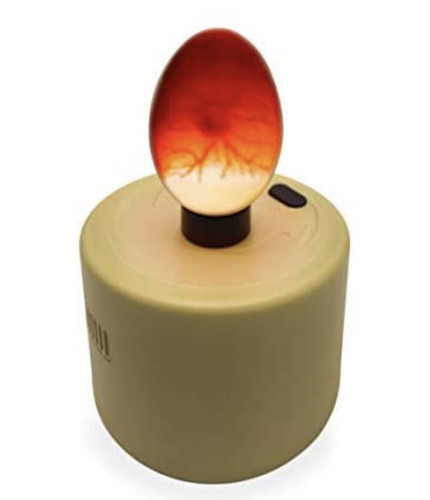 Hand held egg candling - candling, light