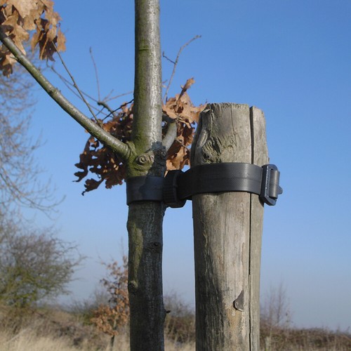 Heavy duty buckle - x, tree