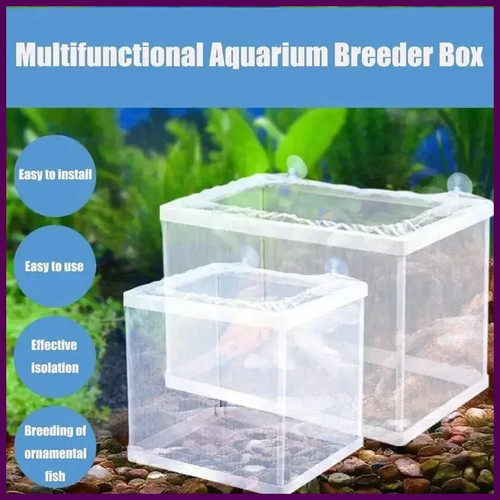 Aquarium fish tank guppy - fish,
