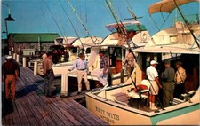 Hatteras NC Blue Marlin