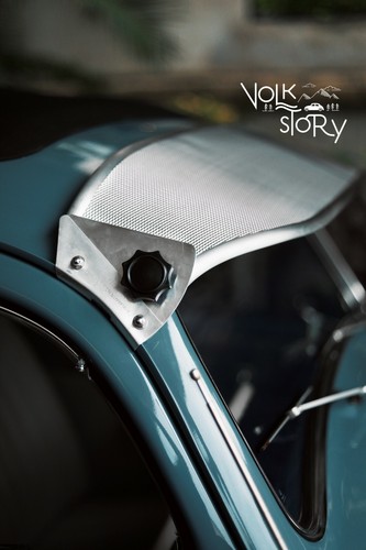Volkswagen beetle bug - vw,