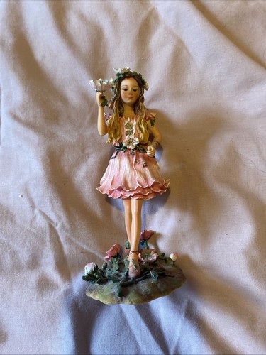 The briar rose faerie fairy - the,