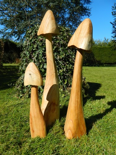 Wooden mushroom carving set - wooden,