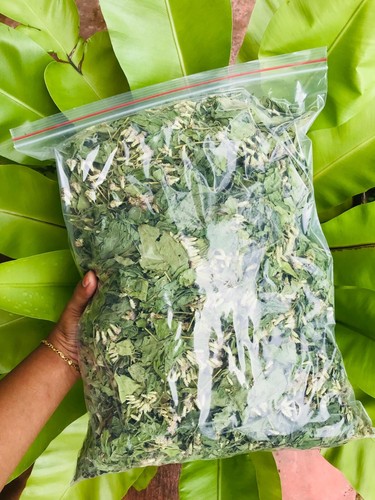 Mexican dream herb calea - mexican,