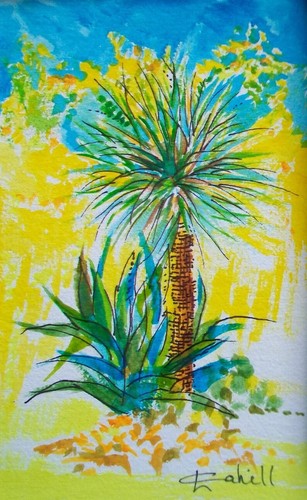 Century plant and yucca - and,