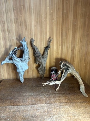 Driftwood irregular trees - driftwood,