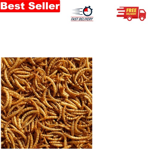 Mealworms bag ideal - 2.5l,