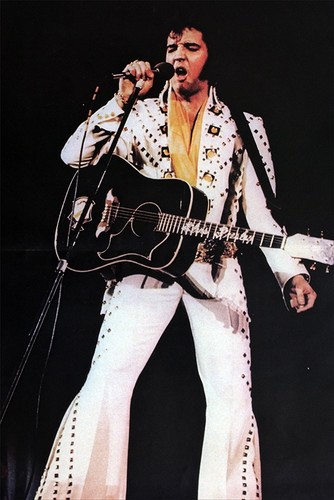 Elvis presley poster - poster, from