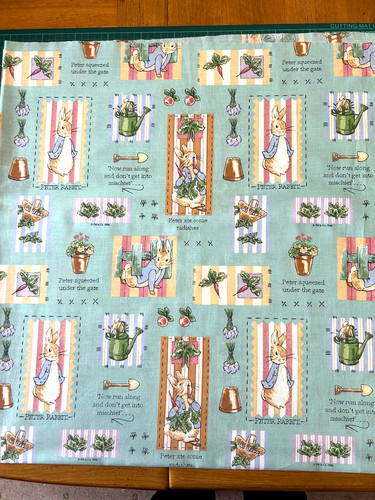 Beatrix potter peter - rabbit, in