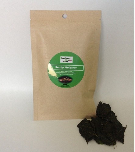 Tantora ready mulberry leaves - ready,