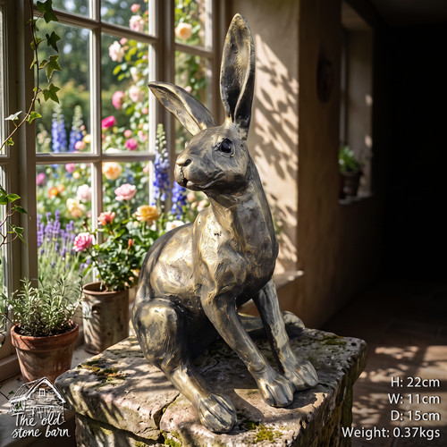 Sitting hare rabbit - sitting,