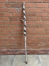 Twisted Twisty Wood Birch