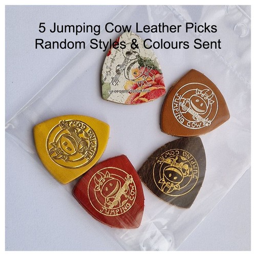 Assorted leather picks - 5,