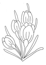 Embroidery Transfer Iron On