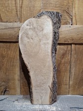 Live Edge Ash Slab (098)
