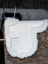 Elizabeth Greenwood IV Horse