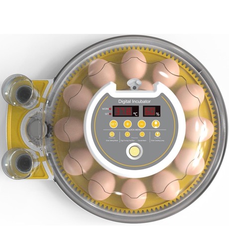 Egg automatic incubator - automatic,