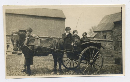 Children sitting pony - children, &