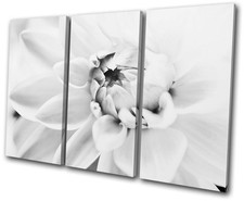 Floral Flower Contemporary