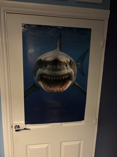 Jaws great white shark - shark, glossy
