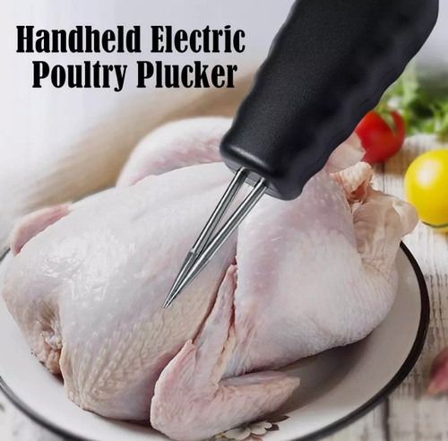 2024 electric poultry - 2024,