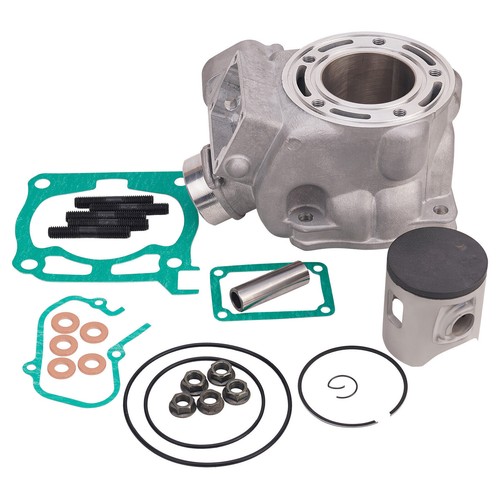 Cylinder rebuild kit piston - rebuild,