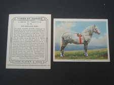 Players -Types of Horses