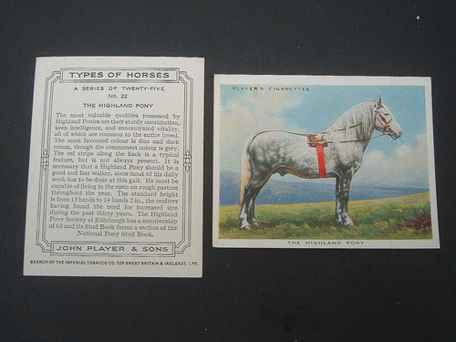 Players types horses - -types,
