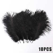 10-100× Large Ostrich