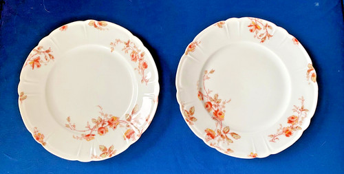 Antique haviland limoges - antique,