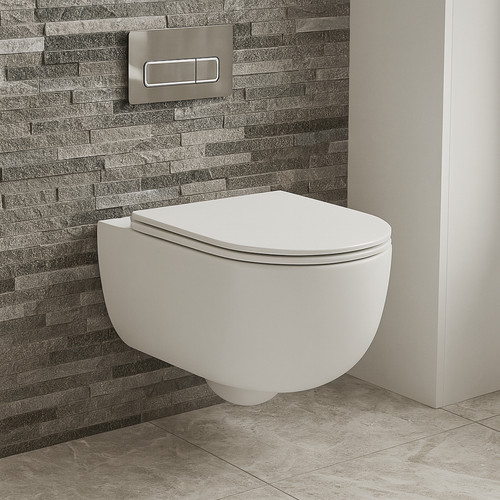 Bathroom toilet pan rimless - pan,