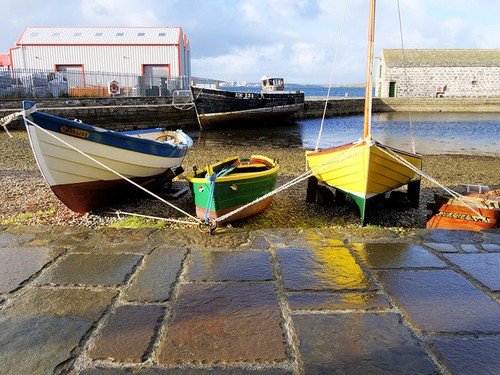 Photo 12x8 shetland - photo,