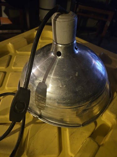 Dome heat lamp for - heat, chickens