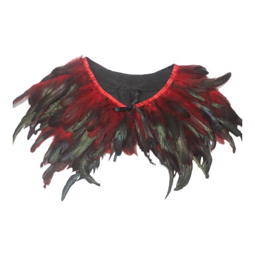 Feather shawl gothic - feather,