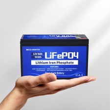 ECO-WORTHY 12V 8AH LiFePO4