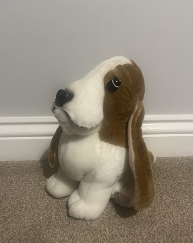 Hush puppies basset hound dog - hush,
