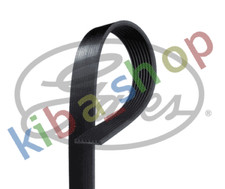 MULTI-V-BELT 8PK1894 FITS DAF