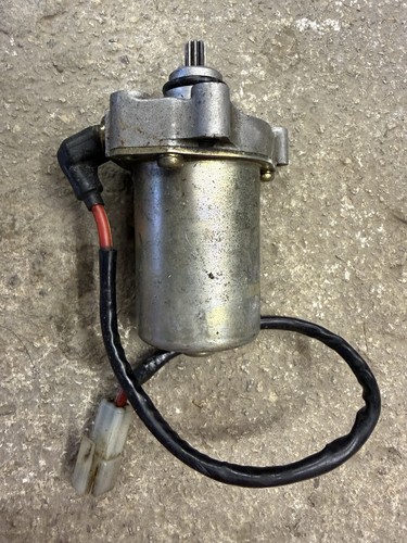 Rotax max pre evo - max,
