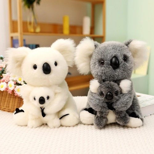 Koala bear plush - koala,