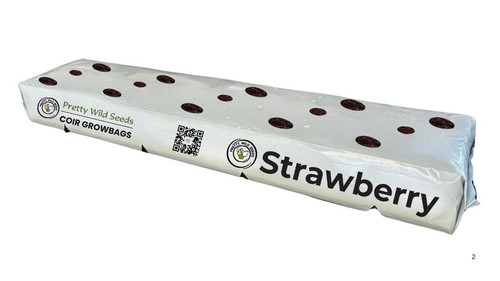 Strawberry cocopeat growbags - cocopeat, |