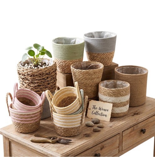 Woven seagrass indoor - woven, plant
