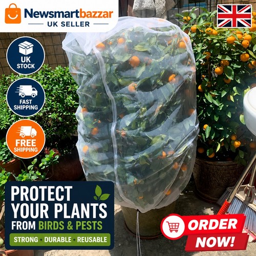 80x80cm plant protection - plant,