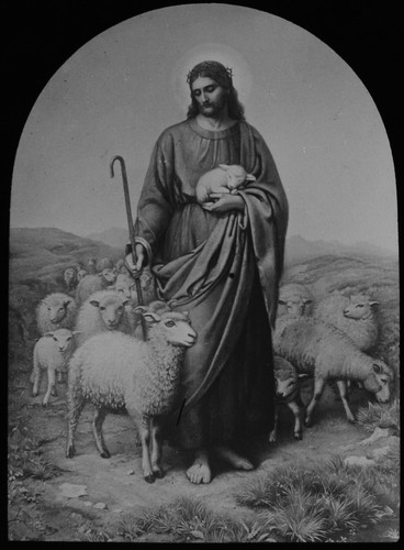 The good shepherd - good,