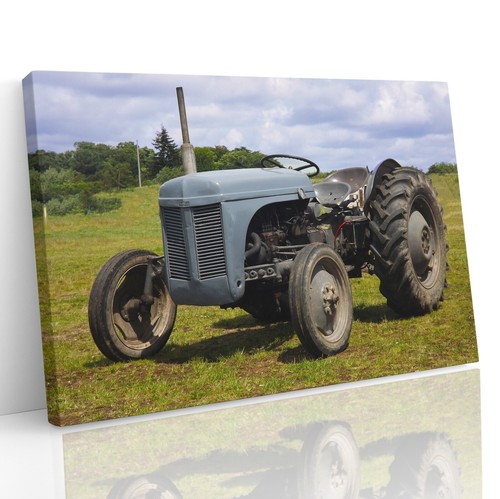 Grey fergie ferguson vintage - ferguson,