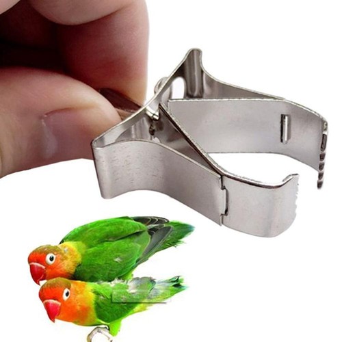3pcs birds food holder clips - 1/3pcs,