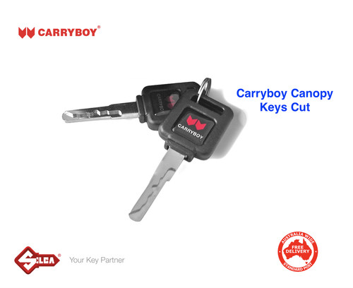 Keys cut for carryboy - cut,
